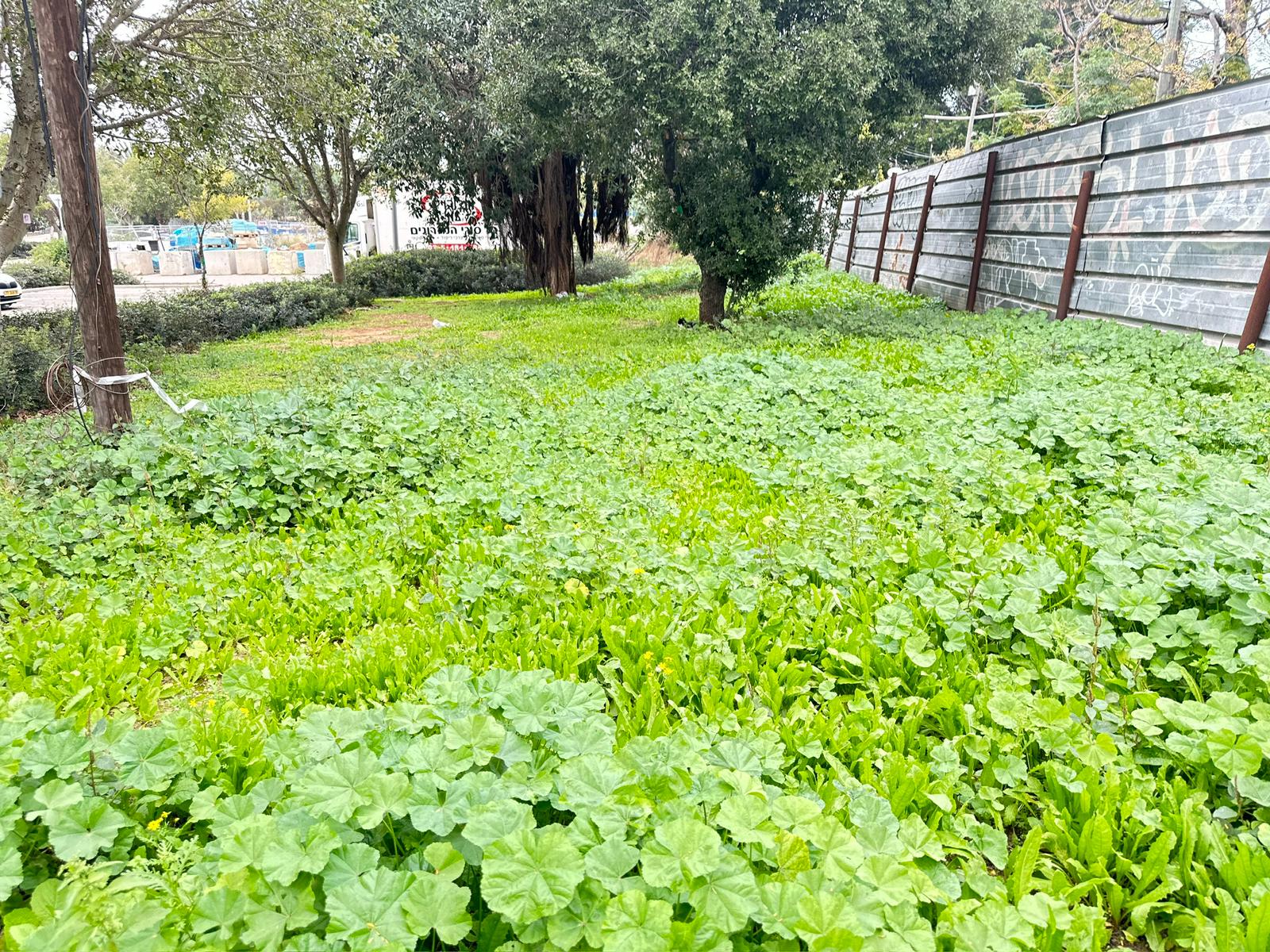 WhatsApp Image 2024-01-05 at 14.01.17.jpg